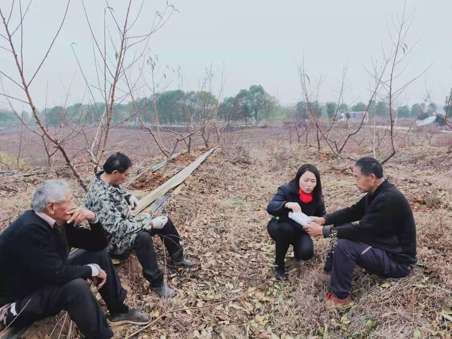 邓松华正在为农户指导种植技术.jpg 邓松华正在为农户指导种植技术.jpg